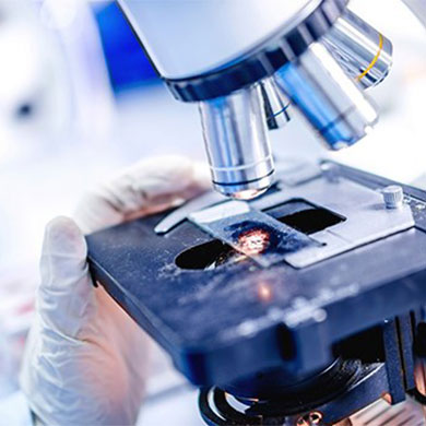 looking at lab slides under high tech microscope